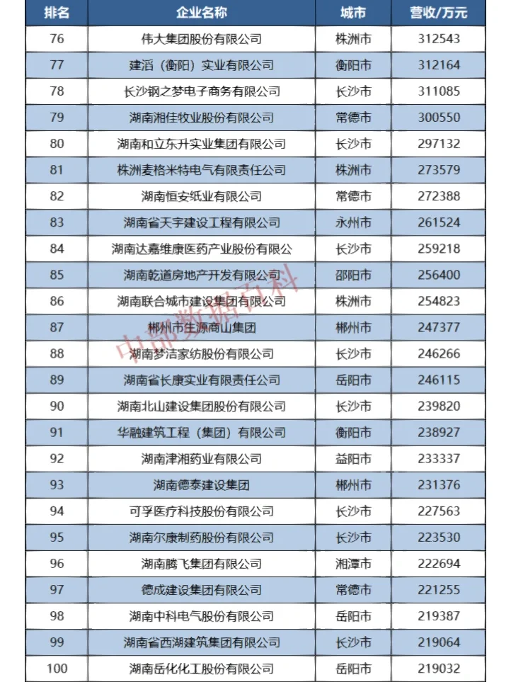 2022年湖南省民营企业100强榜单