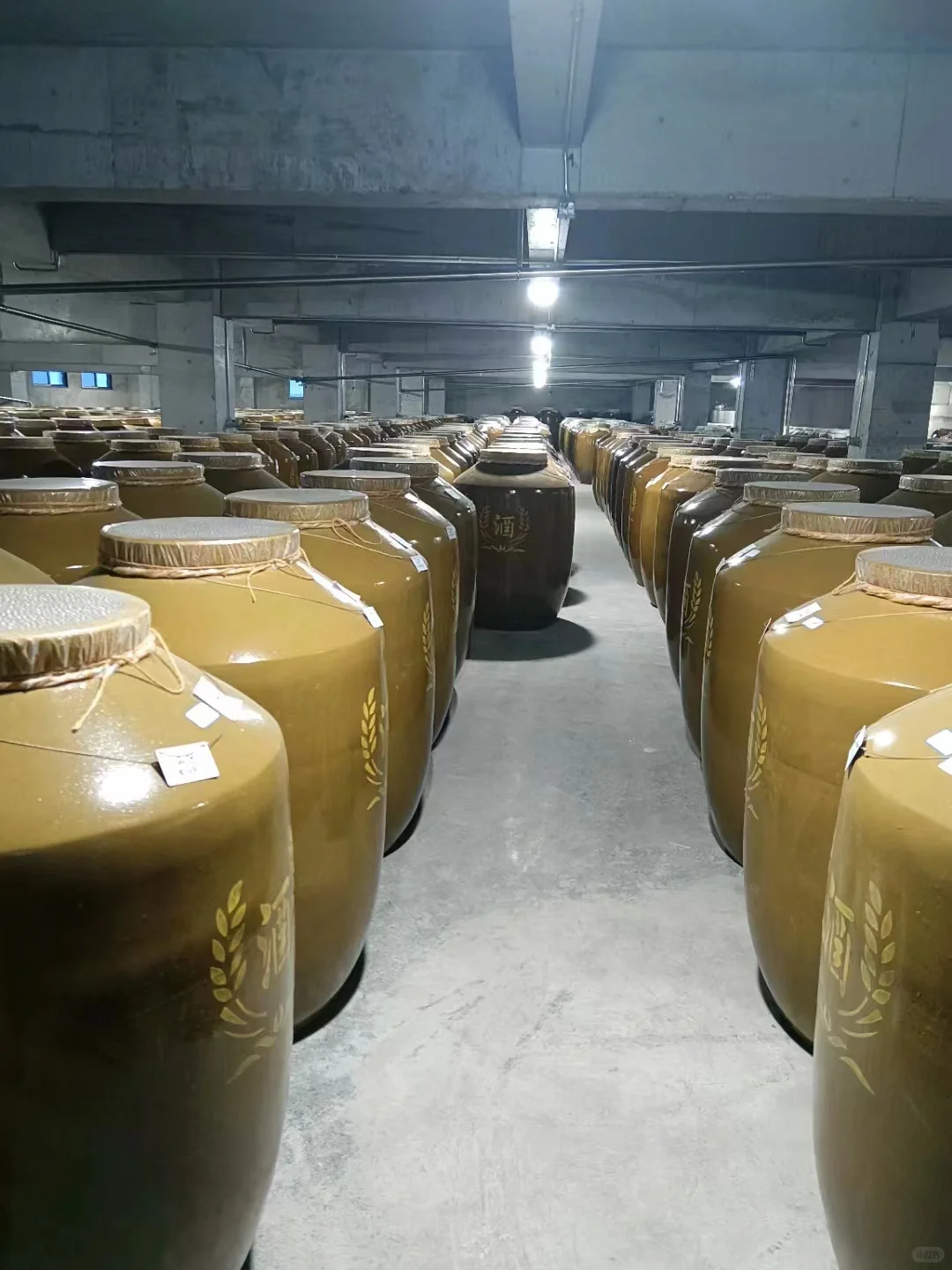 投资酱酒，需理性分析？