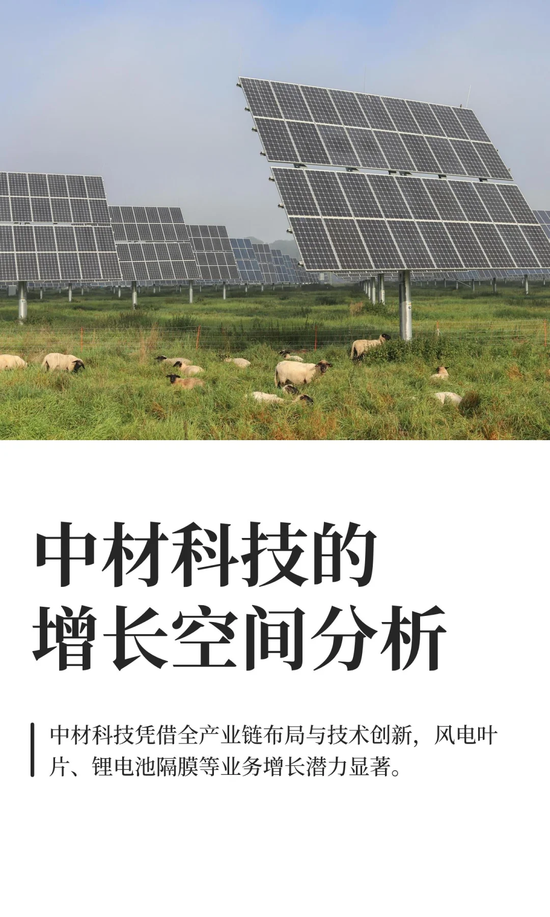 中材科技的增长空间分析