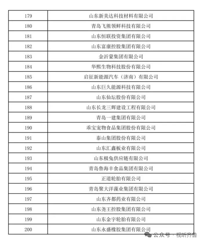 2025山东民营企业200强入围名单