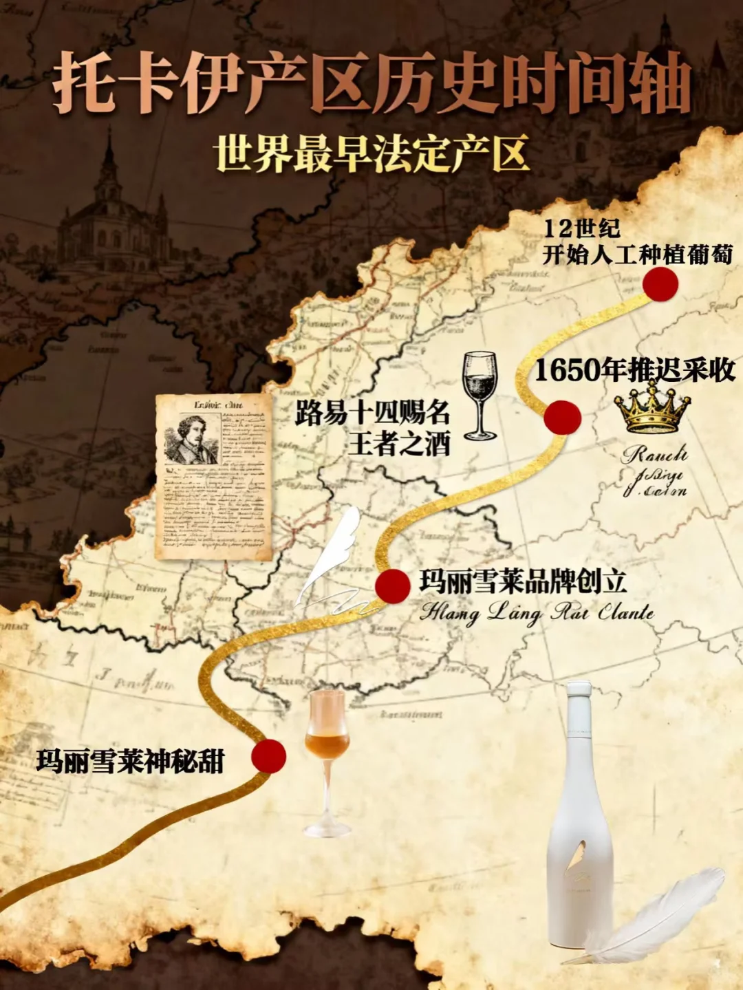 发霉葡萄→液体黄金？贵腐酒的秘密太绝了！