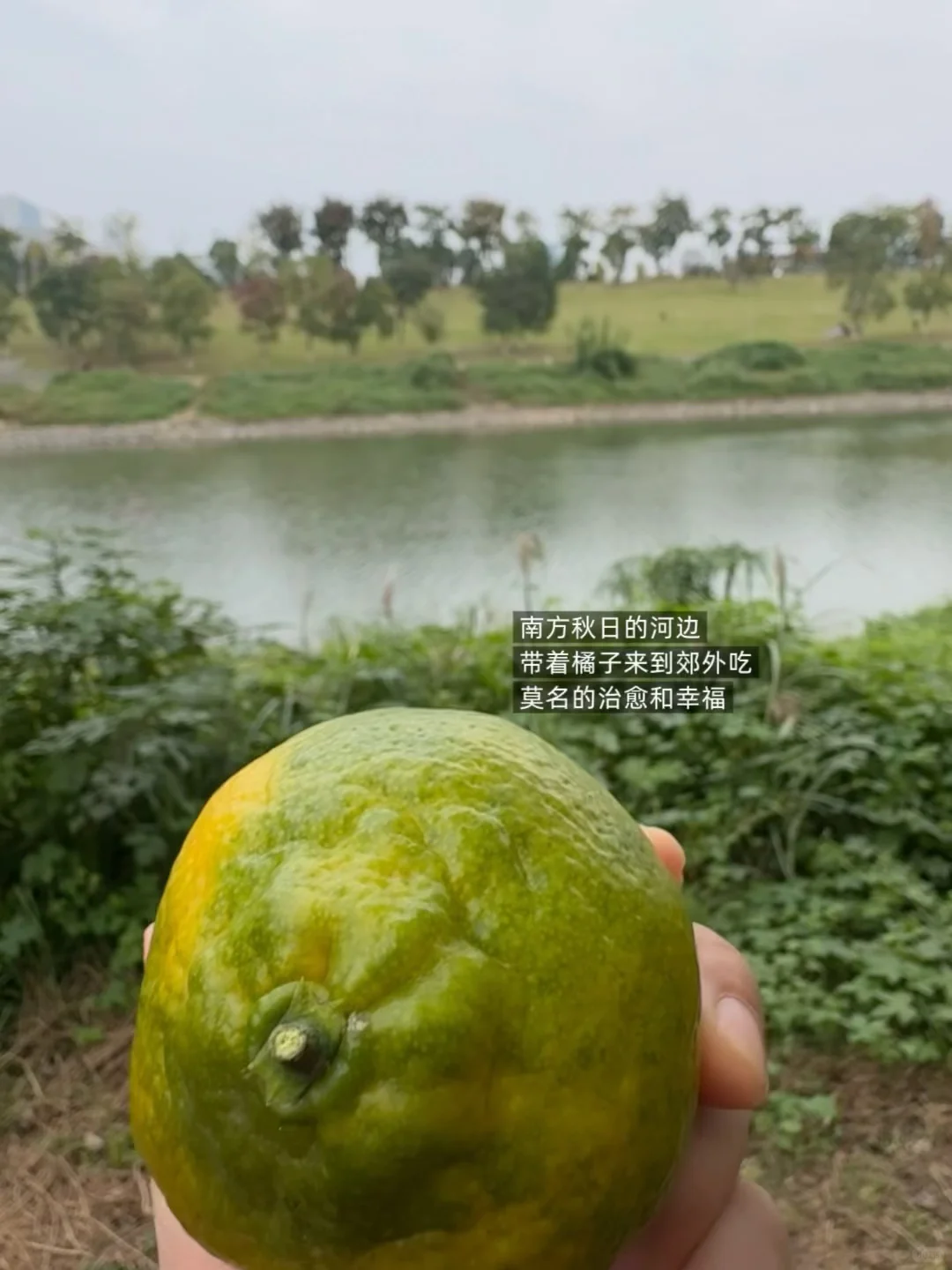 我的十一月:写作,见朋友,饮酒,老派生活