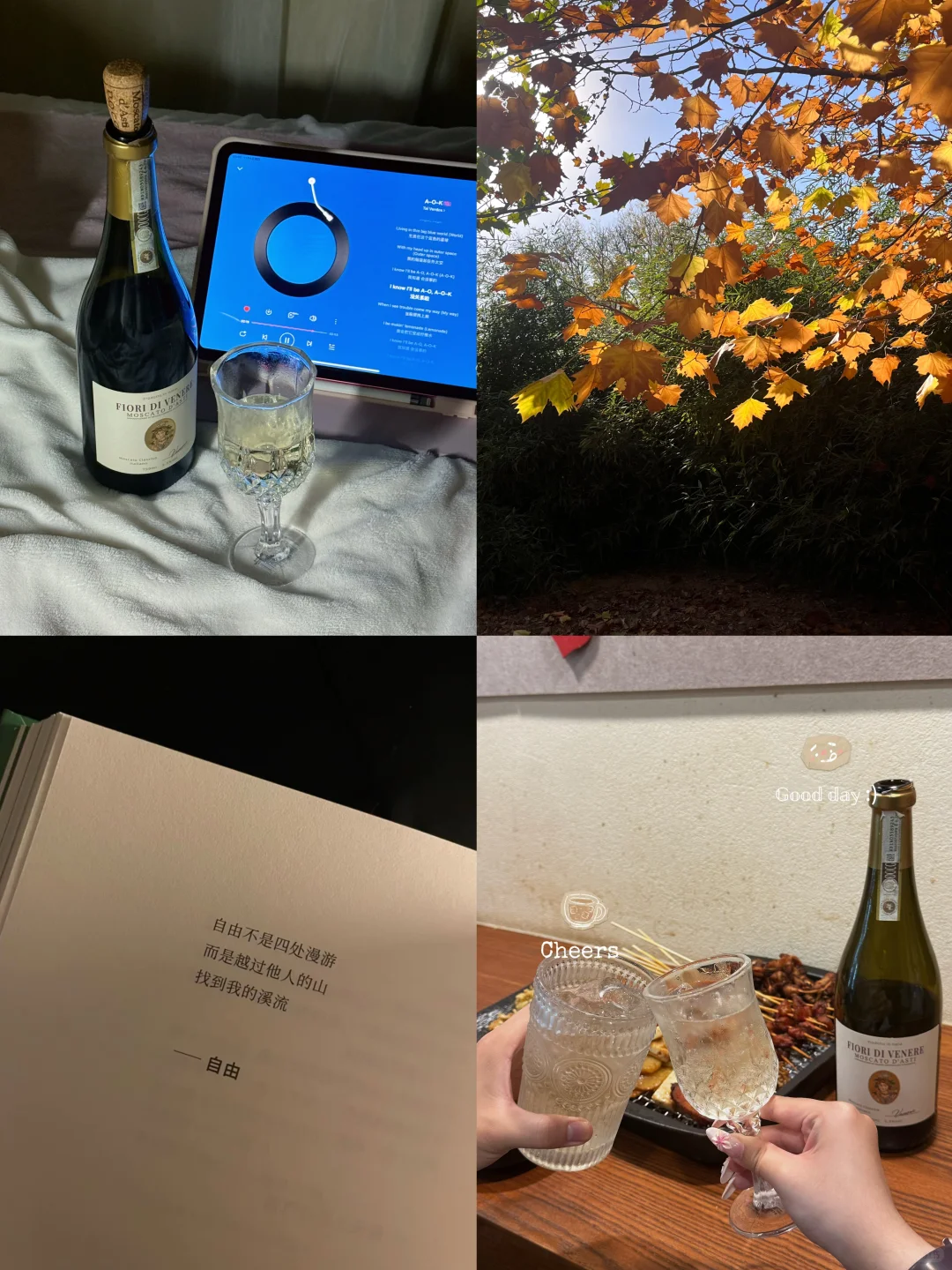 plog｜如果感到幸福你就喝一杯?