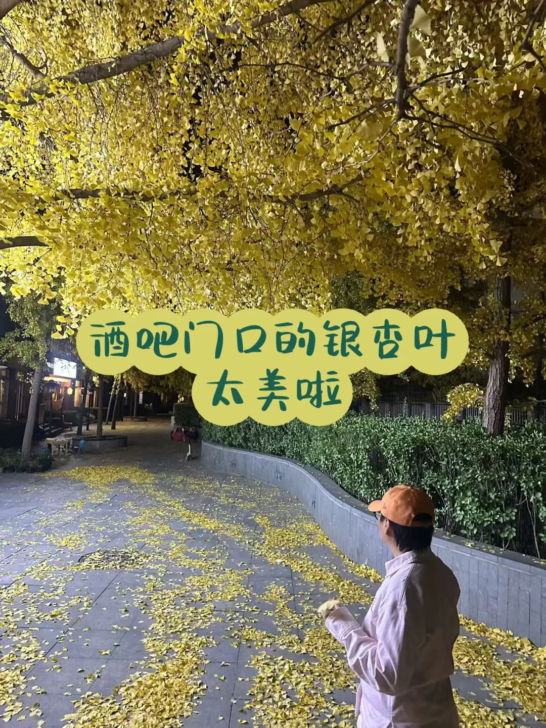 北京喝葡萄酒最美银杏观赏地-桃酒吧