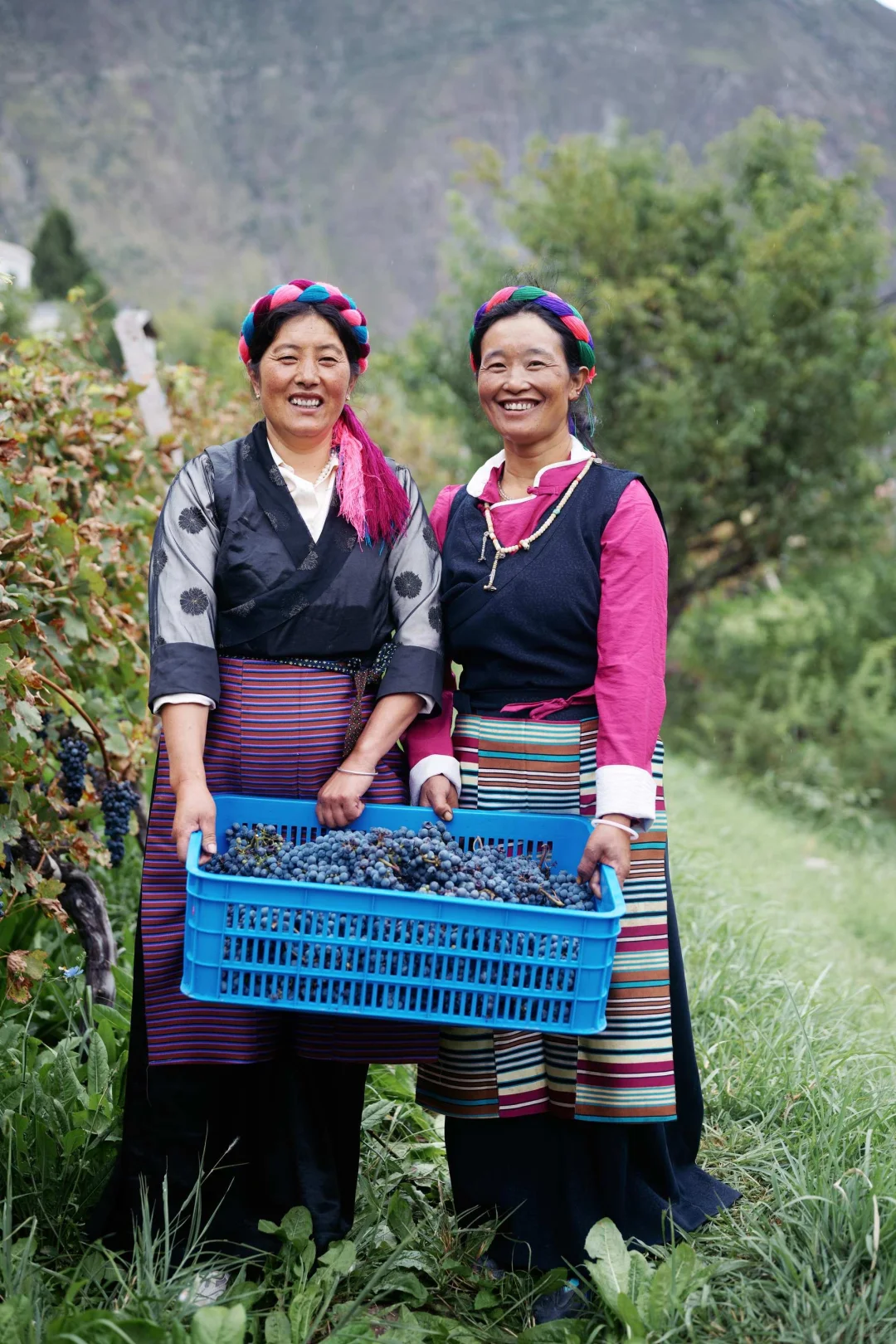 葡萄酒圈95%没有风土只有风格
