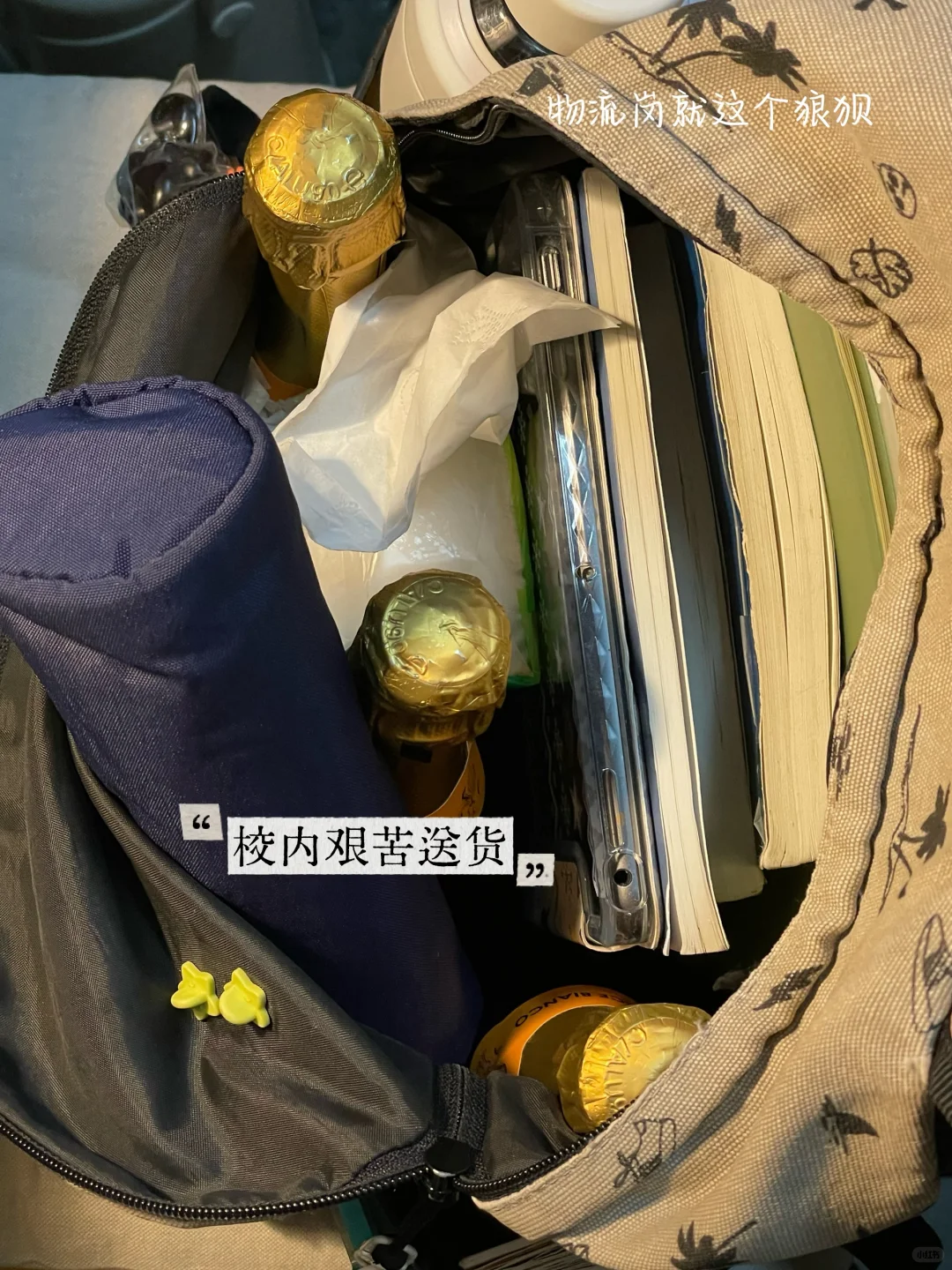 ?末二葡萄酒｜07女大｜艰苦日常plog?