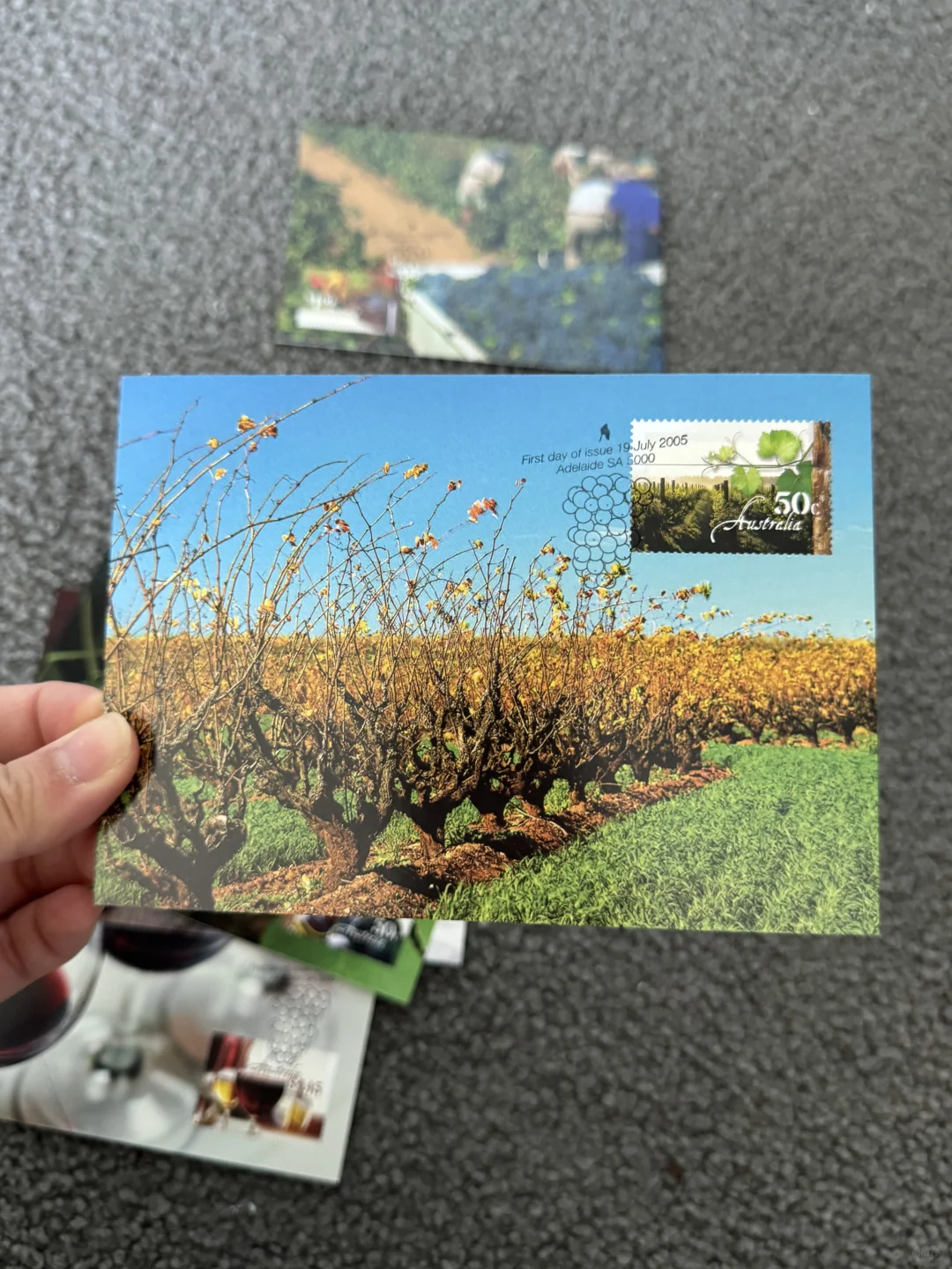 ???澳洲极限片-葡萄酒??