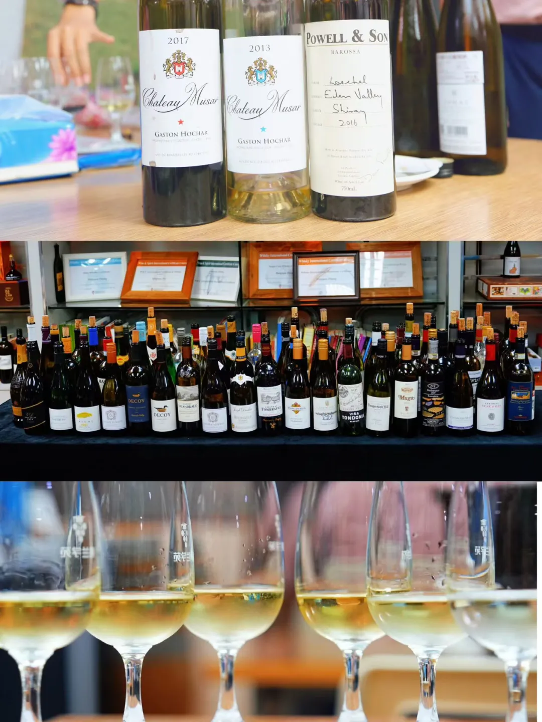 WSET三级葡萄酒☞开课预告☞召集发烧友