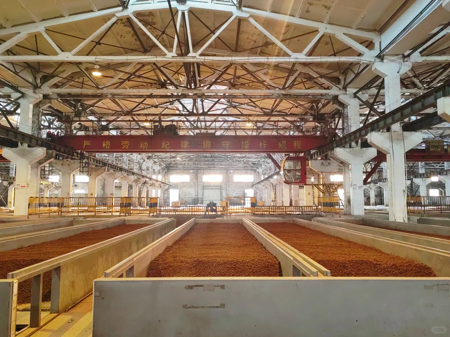 洋河酒厂，又是和导师出来见世面的一天