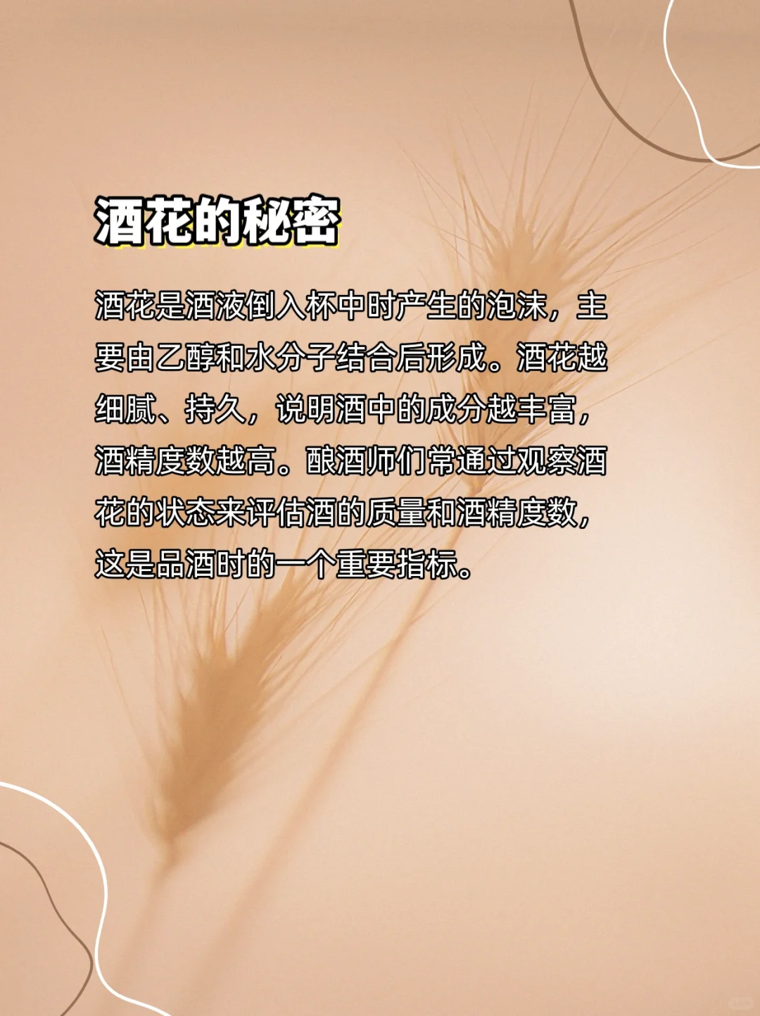 您知道白酒四绝是什么嘛？