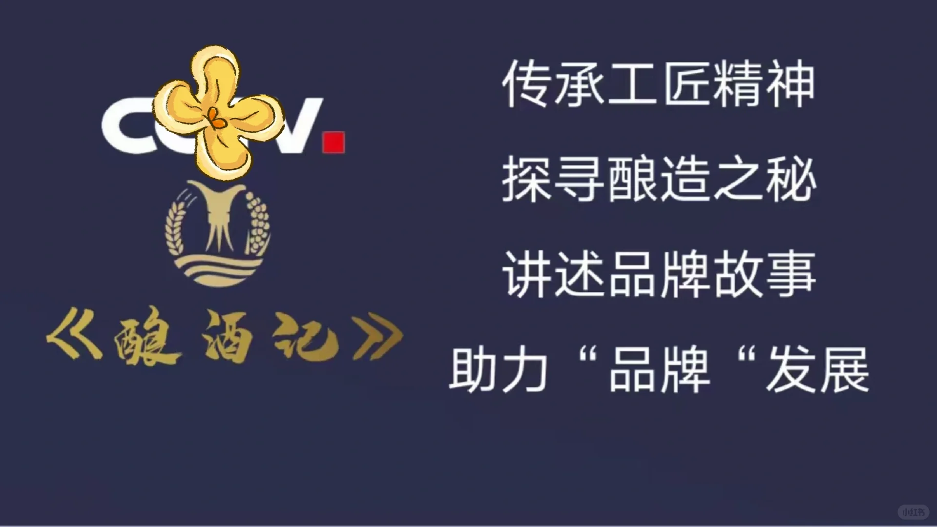 讲述白酒历史的栏目