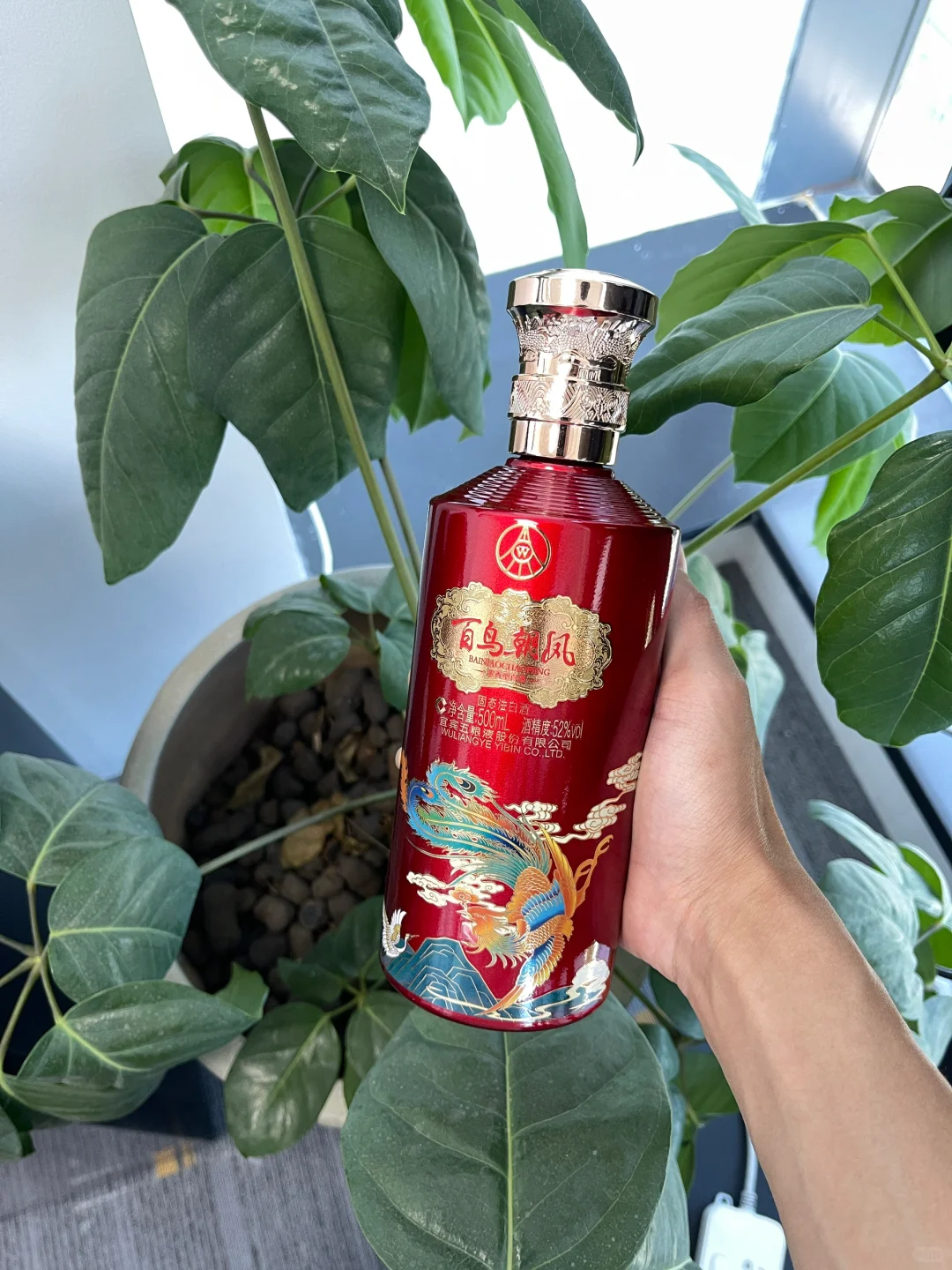 在订婚宴被亲戚追着问的白酒?