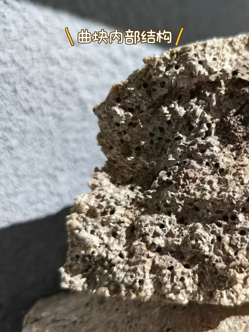 离谱?‍♀️大曲真的比头都大，小曲比手指都小