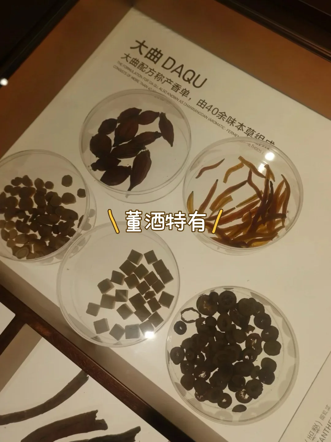 离谱?‍♀️大曲真的比头都大，小曲比手指都小