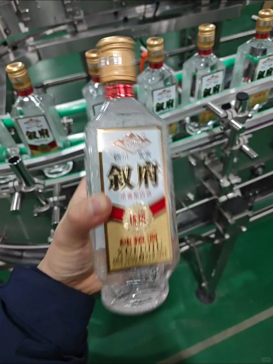 入门款纯粮酒