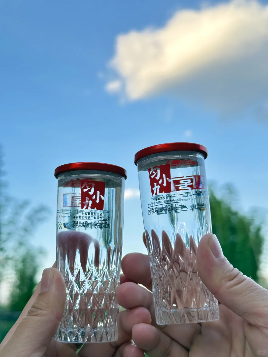 谁懂这一杯的快乐！去露营带上它！