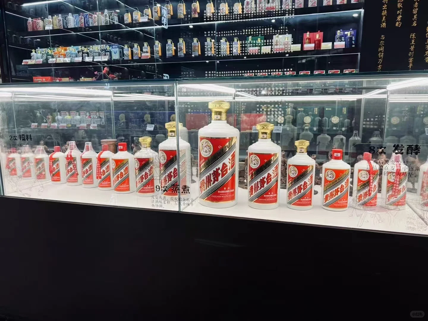 初入社会白酒怎么选？