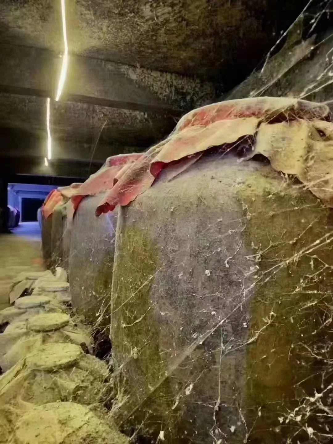 今天开坛25年年份的酱香老酒呦