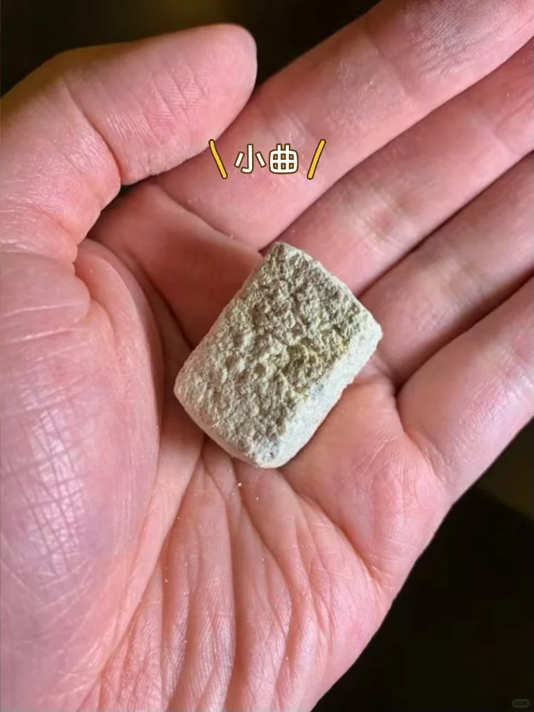 离谱?‍♀️大曲真的比头都大，小曲比手指都小