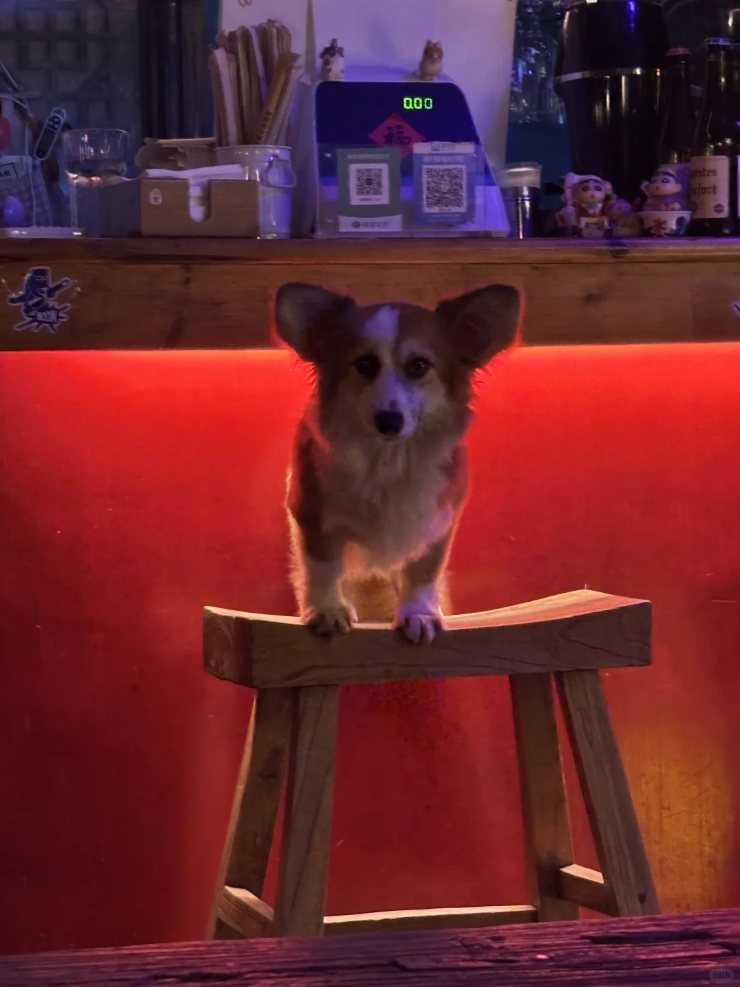 白天卖串儿，晚上卖唱的的坎坷人生