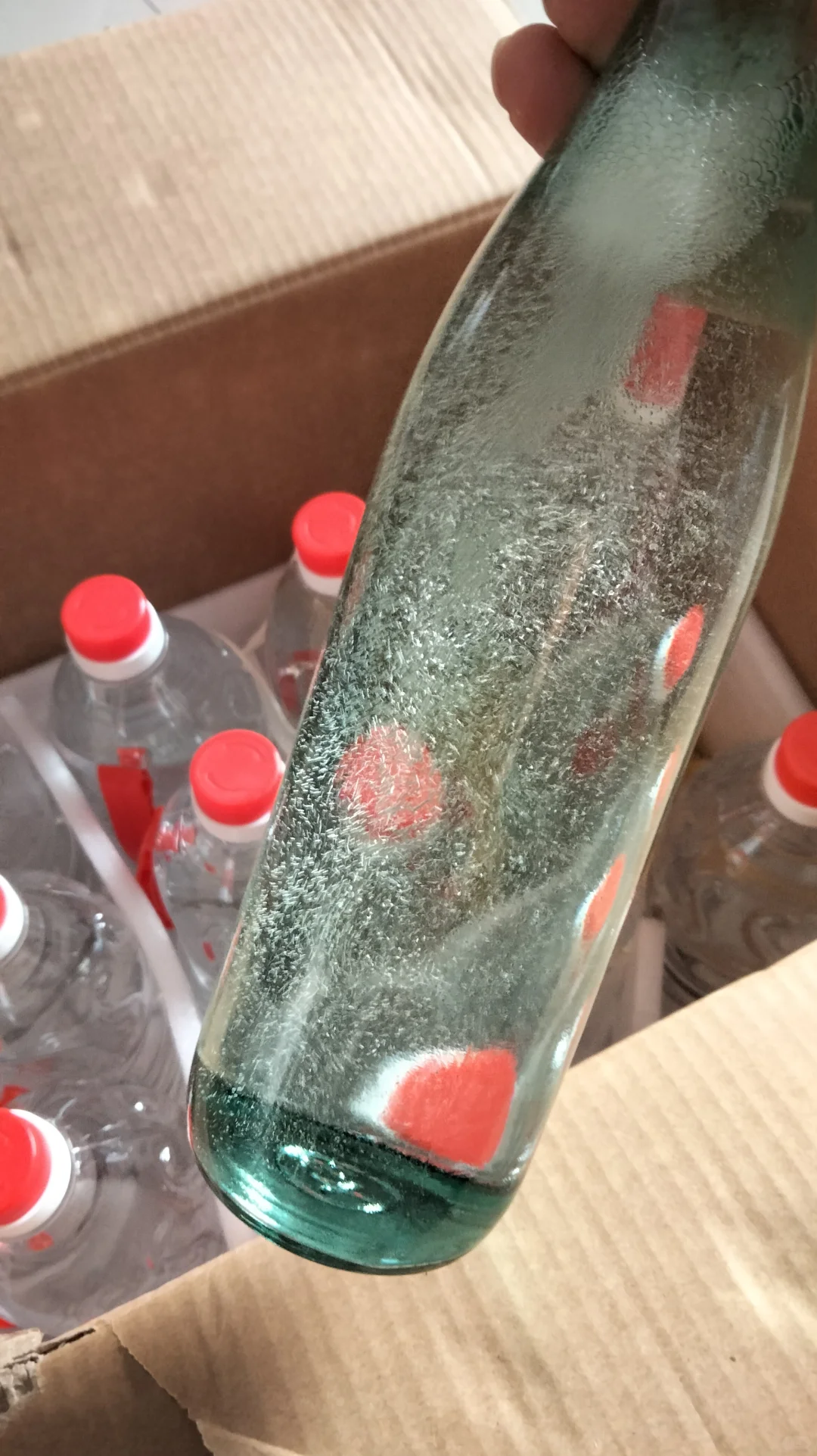 洋河纯粮光瓶酒