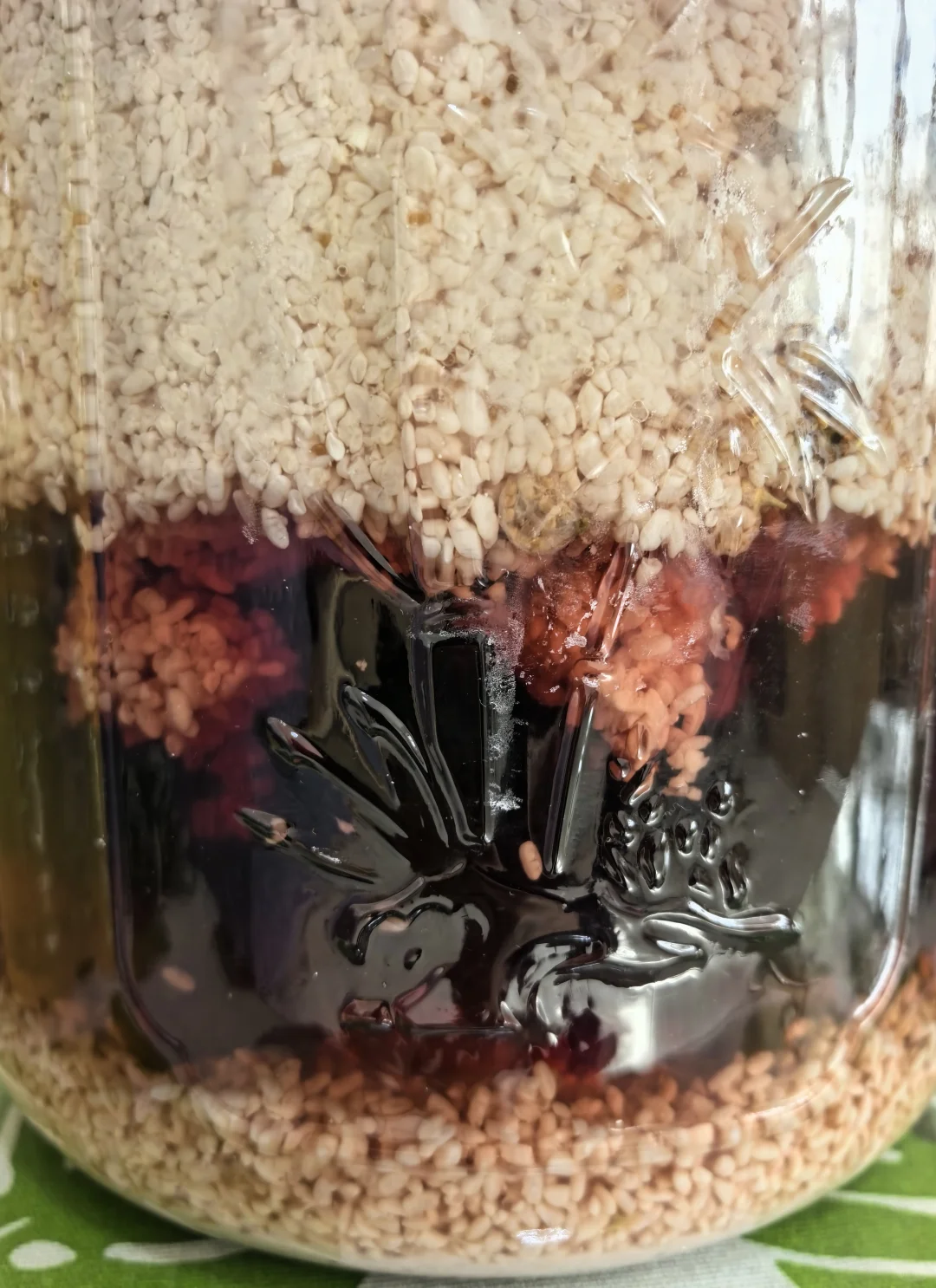 黑枸杞米酒发酵45天