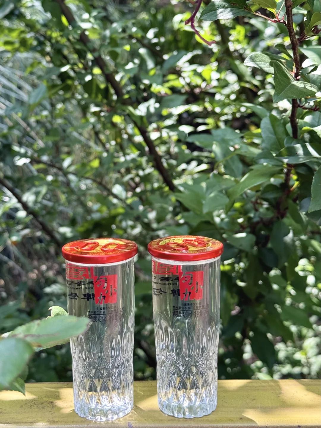 谁懂这一杯的快乐！去露营带上它！