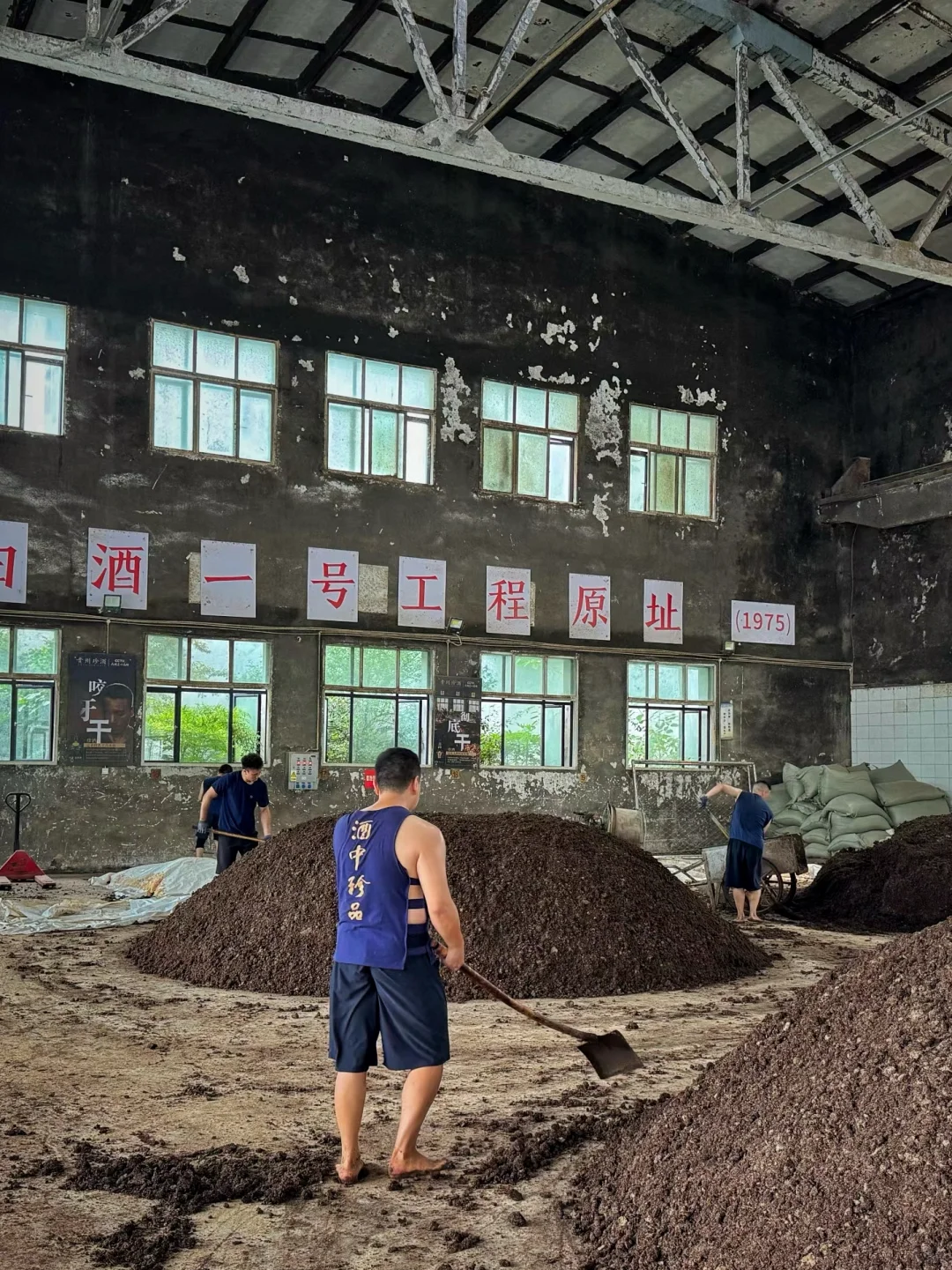 中国白酒的酿造工艺有那么复杂吗？?