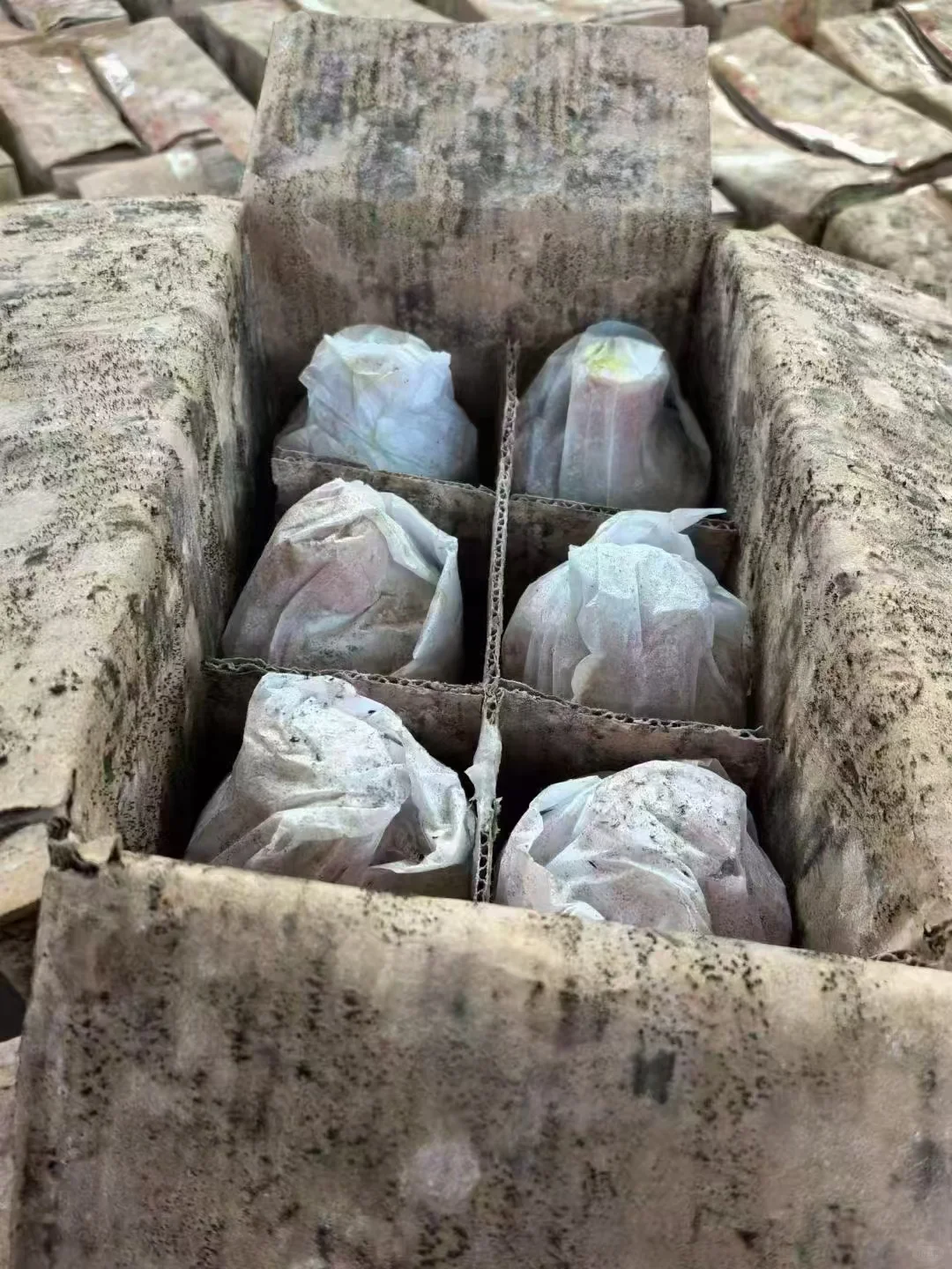 1996～1998年老酒库存