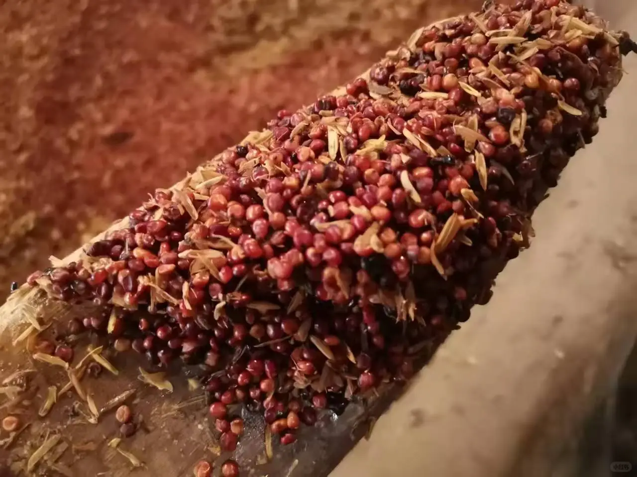 想选泡酒用的纯粮酒？用这个60来度原浆最好