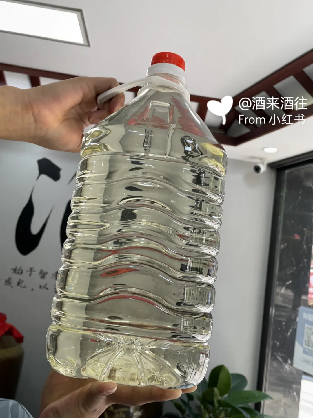 百元价格让您尝到五六百的酒质