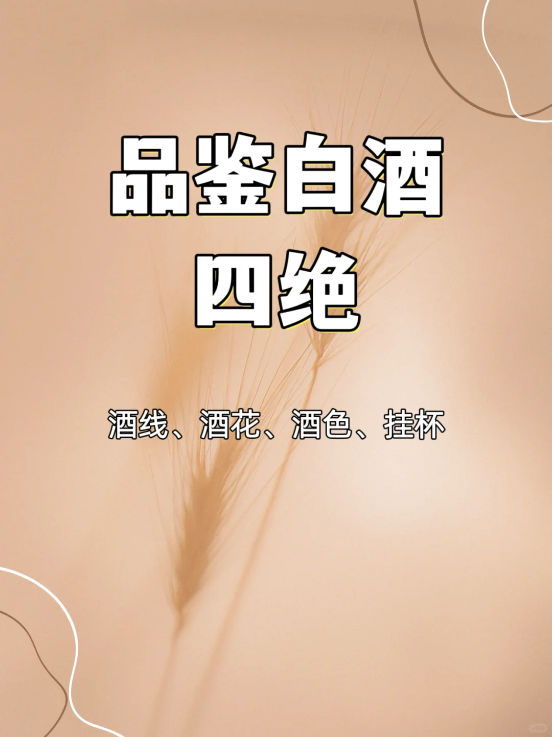 您知道白酒四绝是什么嘛？