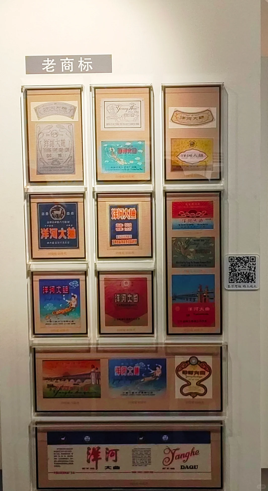 洋河酒厂，又是和导师出来见世面的一天