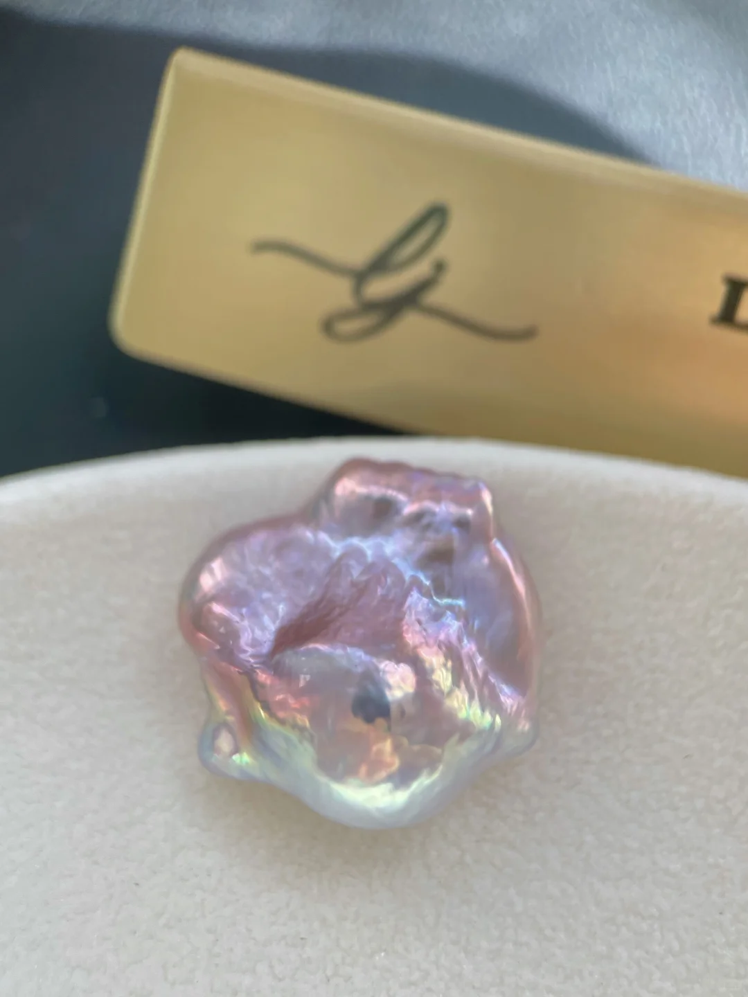 霸王花?｜Le jardin