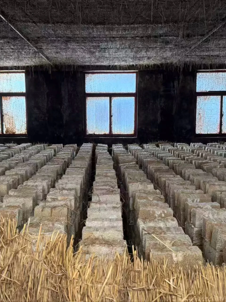 离谱?‍♀️大曲真的比头都大，小曲比手指都小