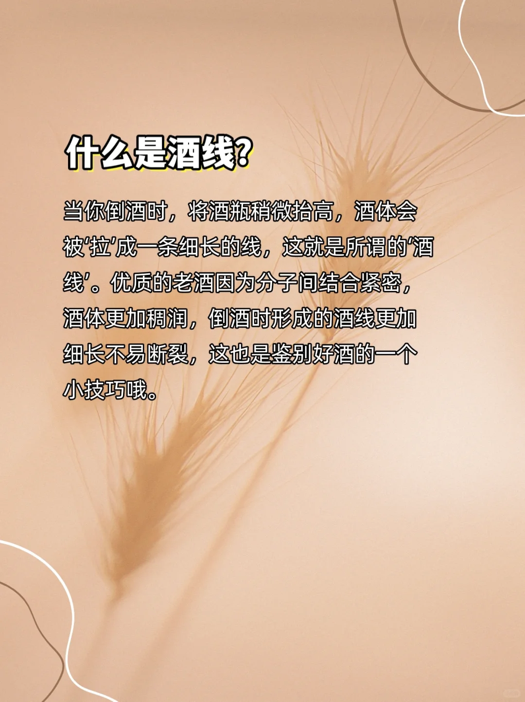 您知道白酒四绝是什么嘛？
