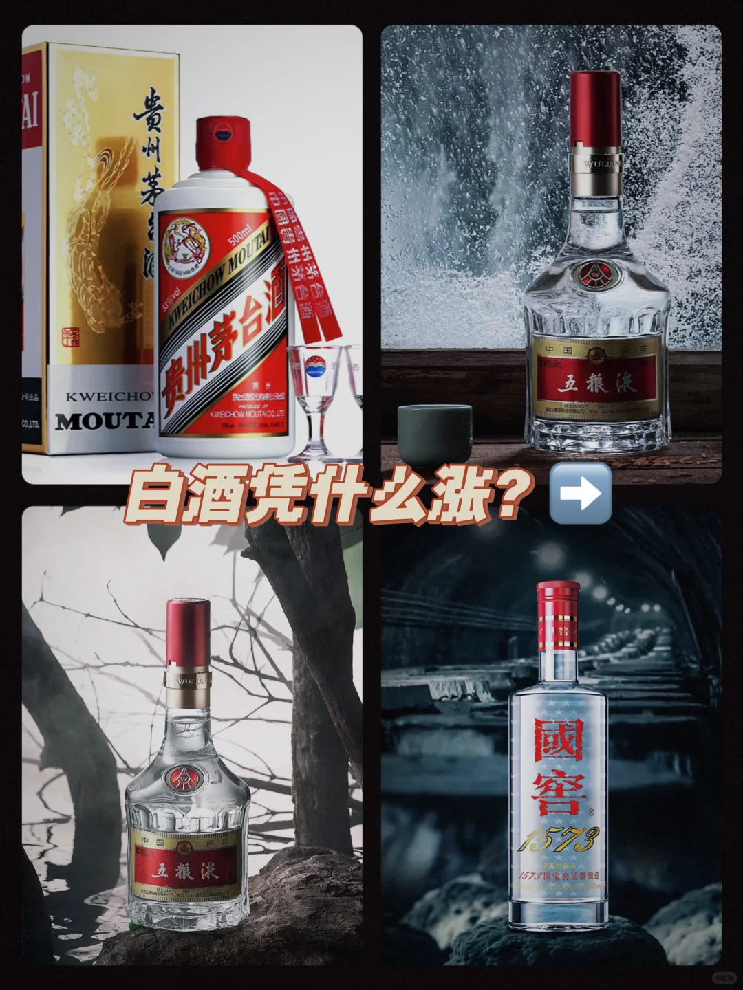 白酒上涨讲逻辑？