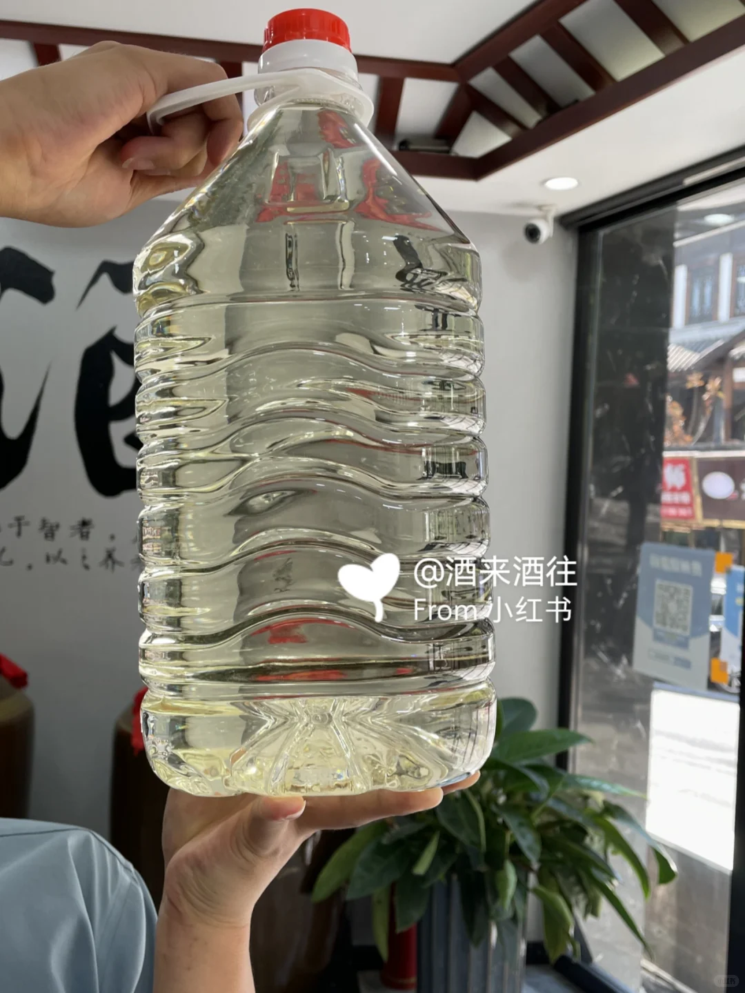 百元价格让您尝到五六百的酒质