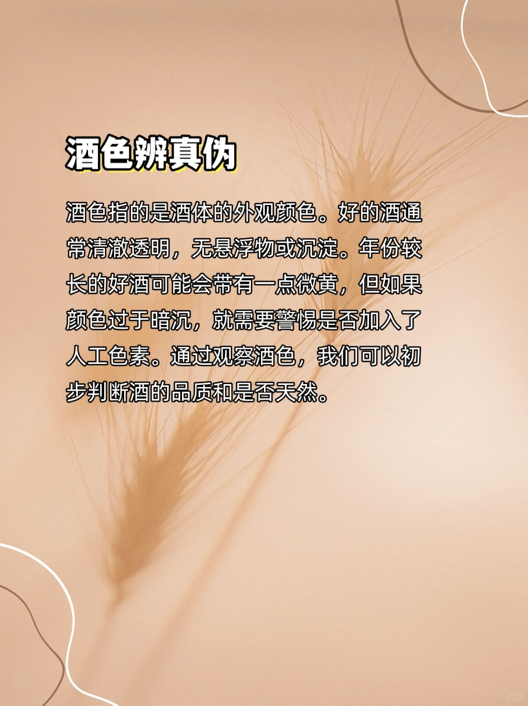 您知道白酒四绝是什么嘛？