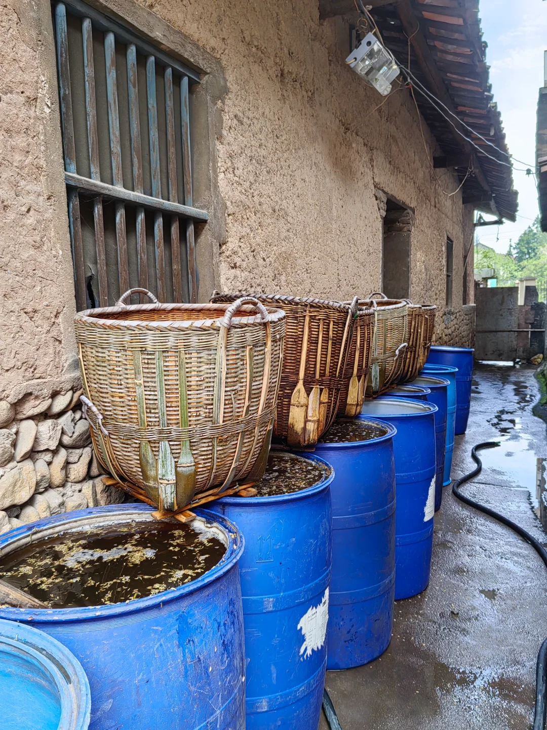 第一次全过程记录家乡的天然手工酿造高粱酒