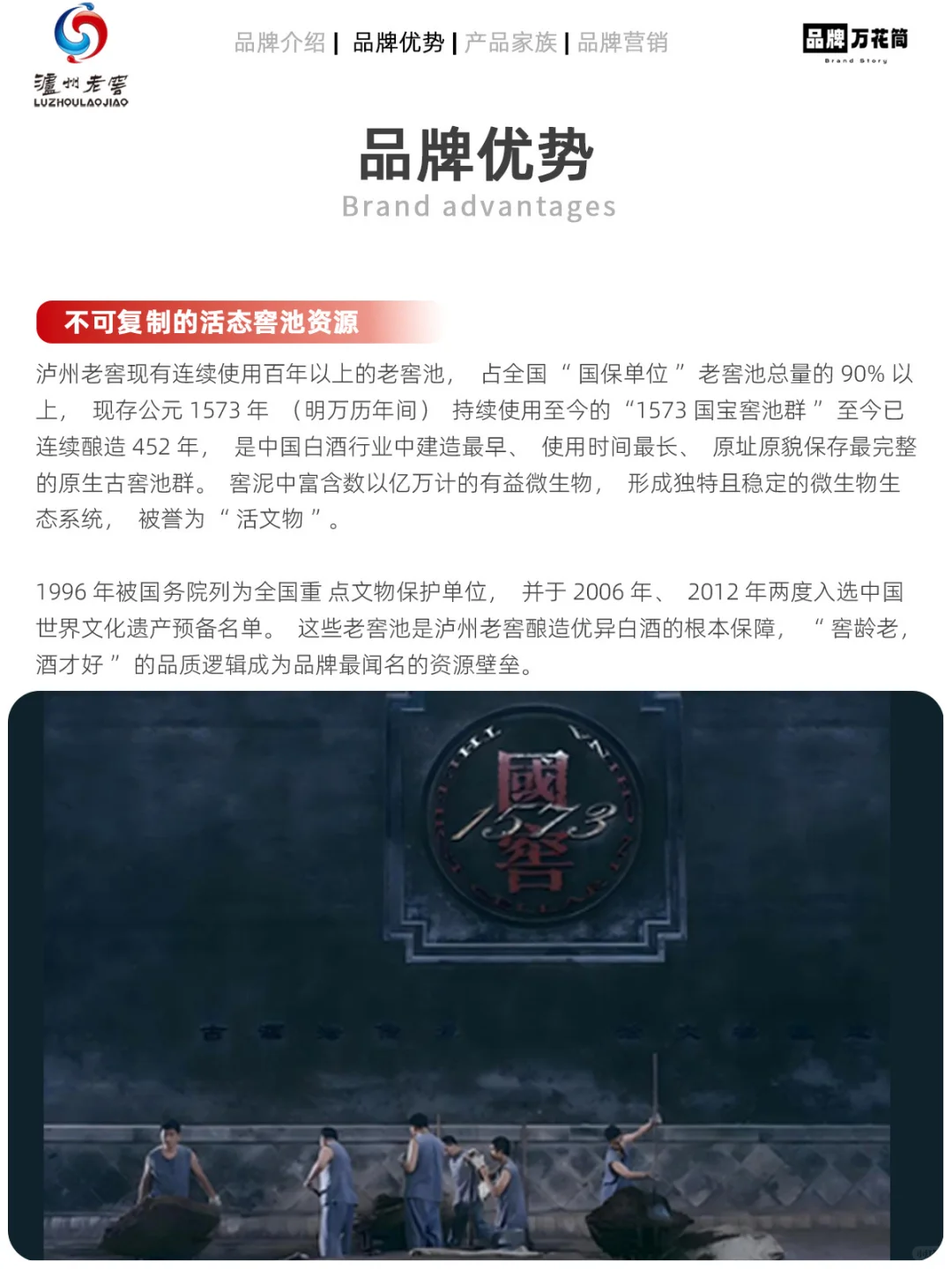 每天认识一个品牌：泸州老窖