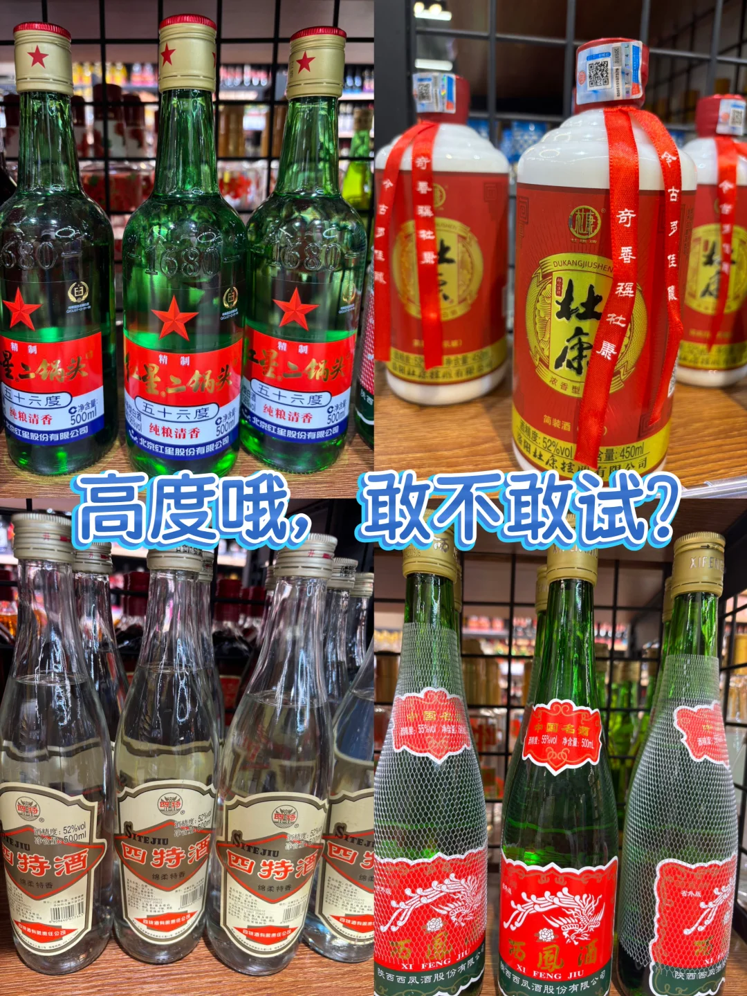 ?多伦多万锦酒蒙子狂喜！直接戳中心巴