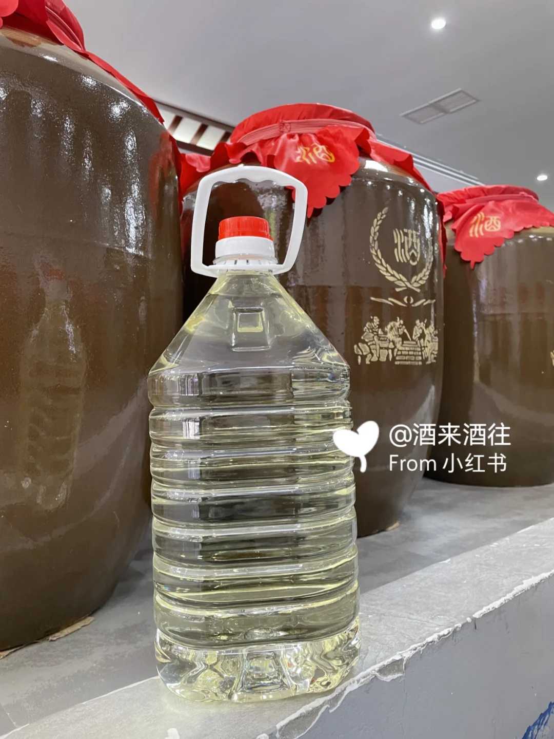 百元价格让您尝到五六百的酒质