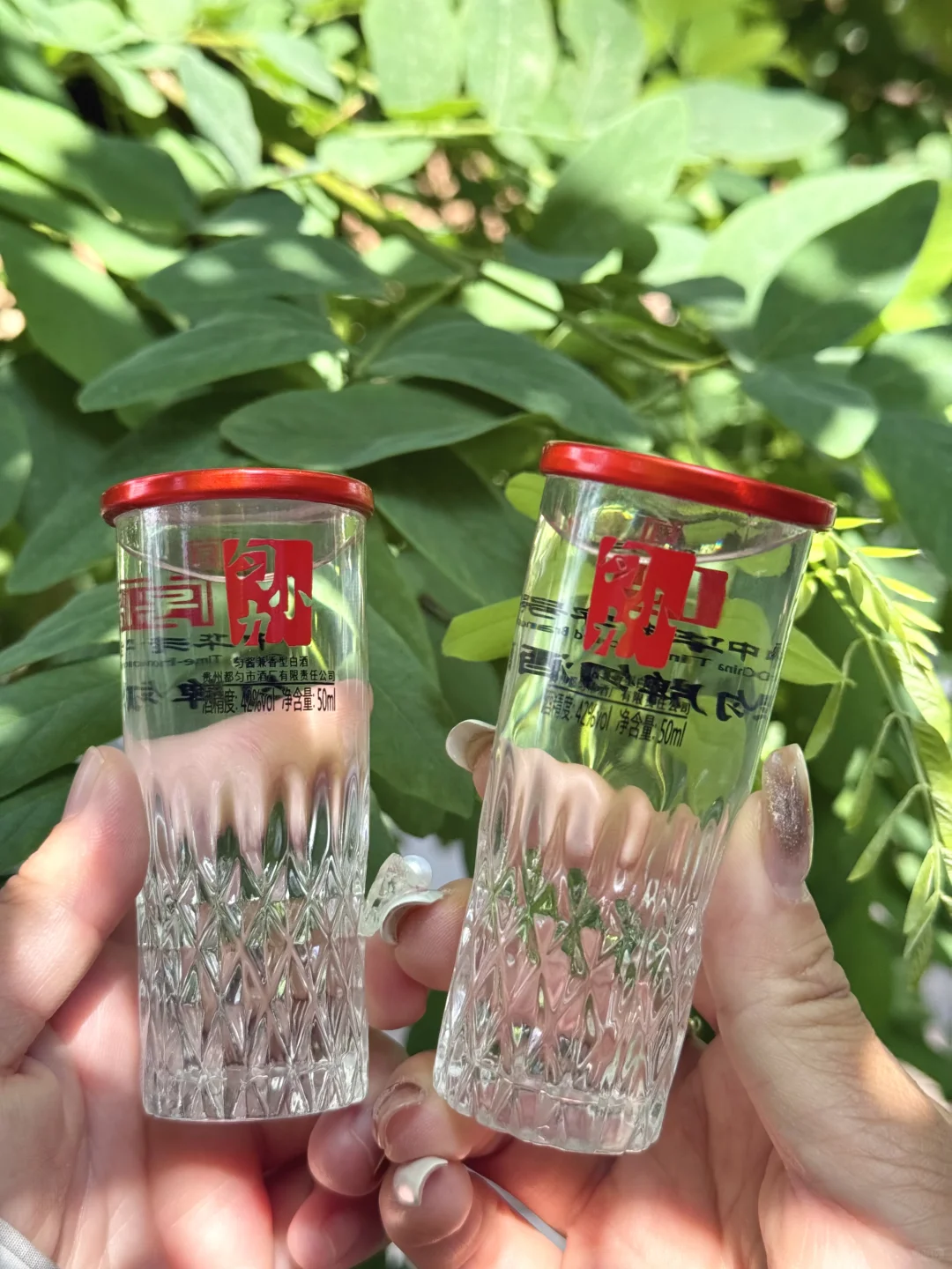 谁懂这一杯的快乐！去露营带上它！