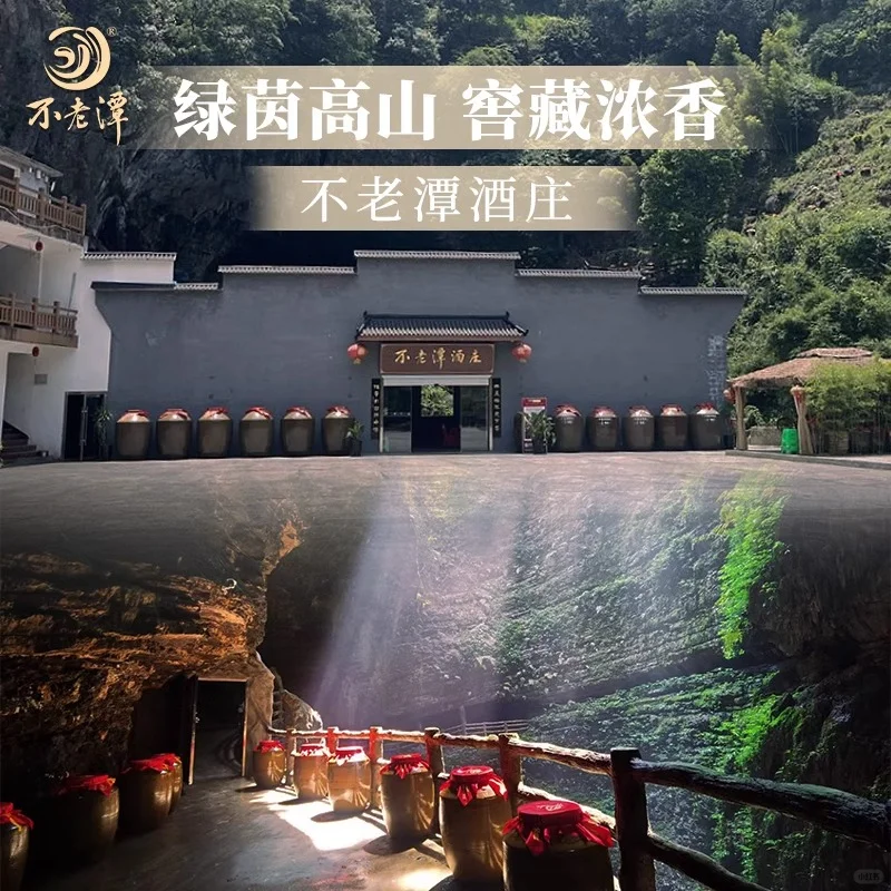 一人小酌，微醺正好
