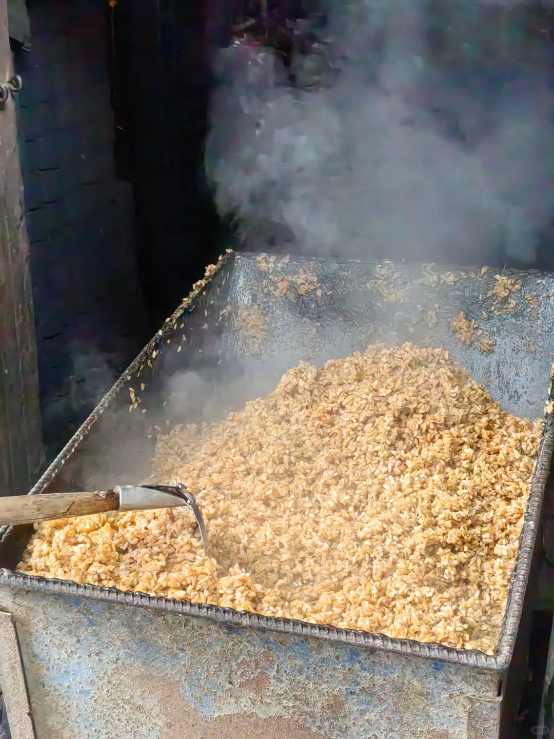 第一次全过程记录家乡的天然手工酿造高粱酒