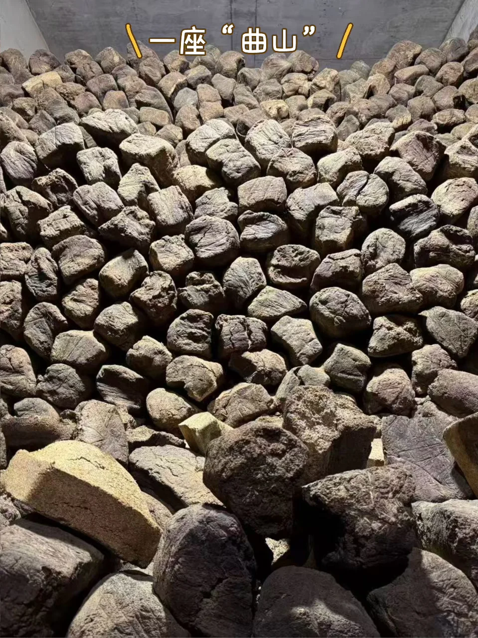 离谱?‍♀️大曲真的比头都大，小曲比手指都小