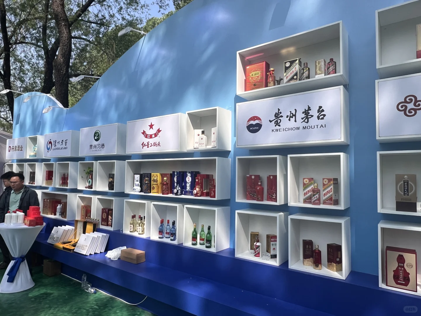 红星闪耀，实力出圈！