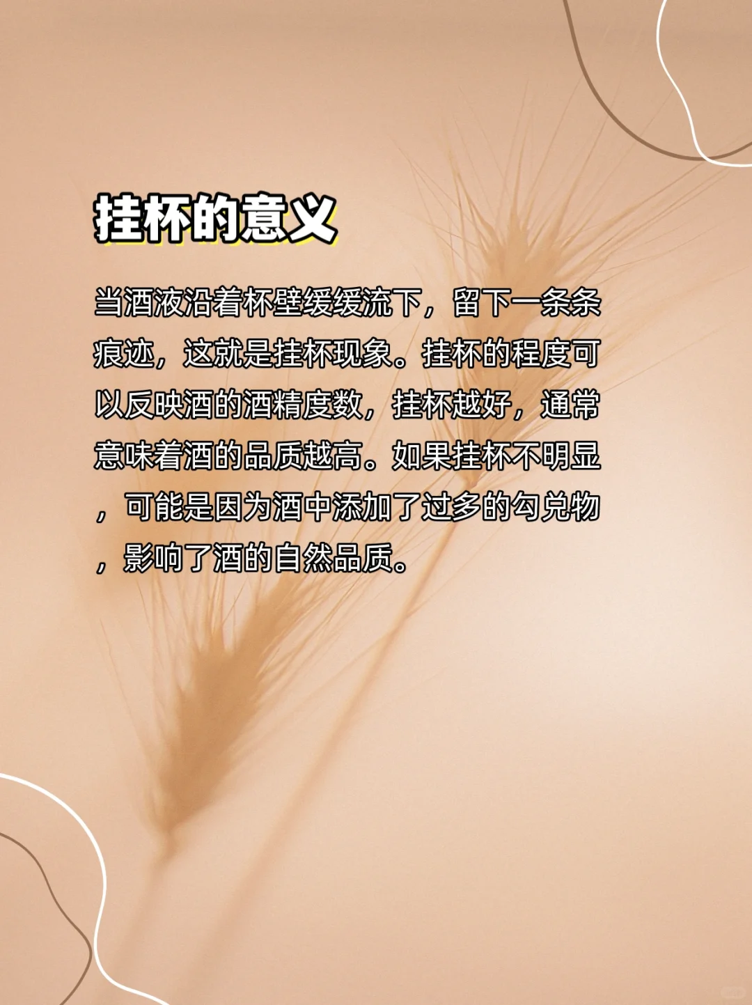 您知道白酒四绝是什么嘛？