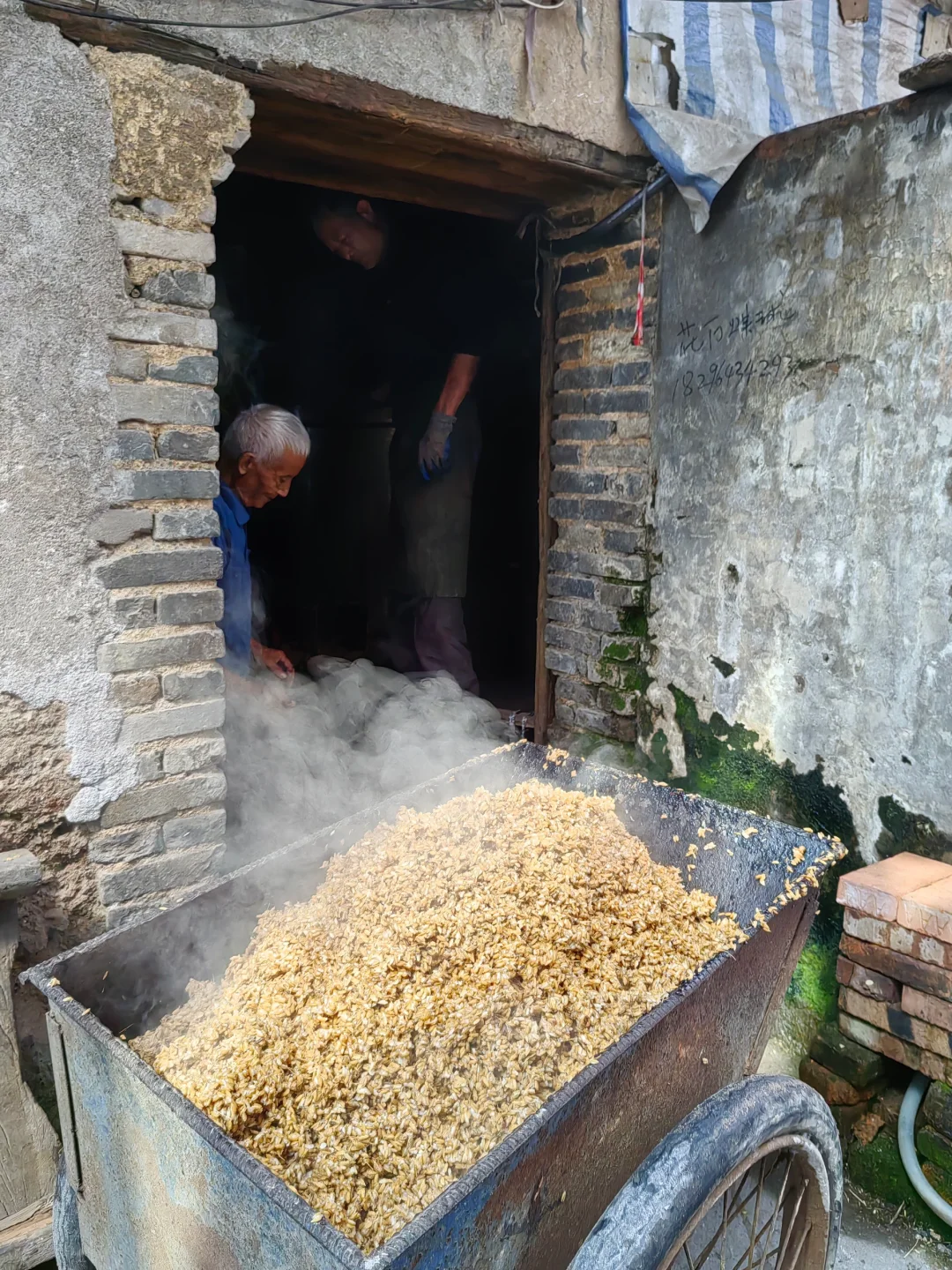 第一次全过程记录家乡的天然手工酿造高粱酒